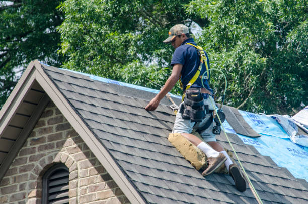 Best Roof Gutter Cleaning  in Awendaw, SC